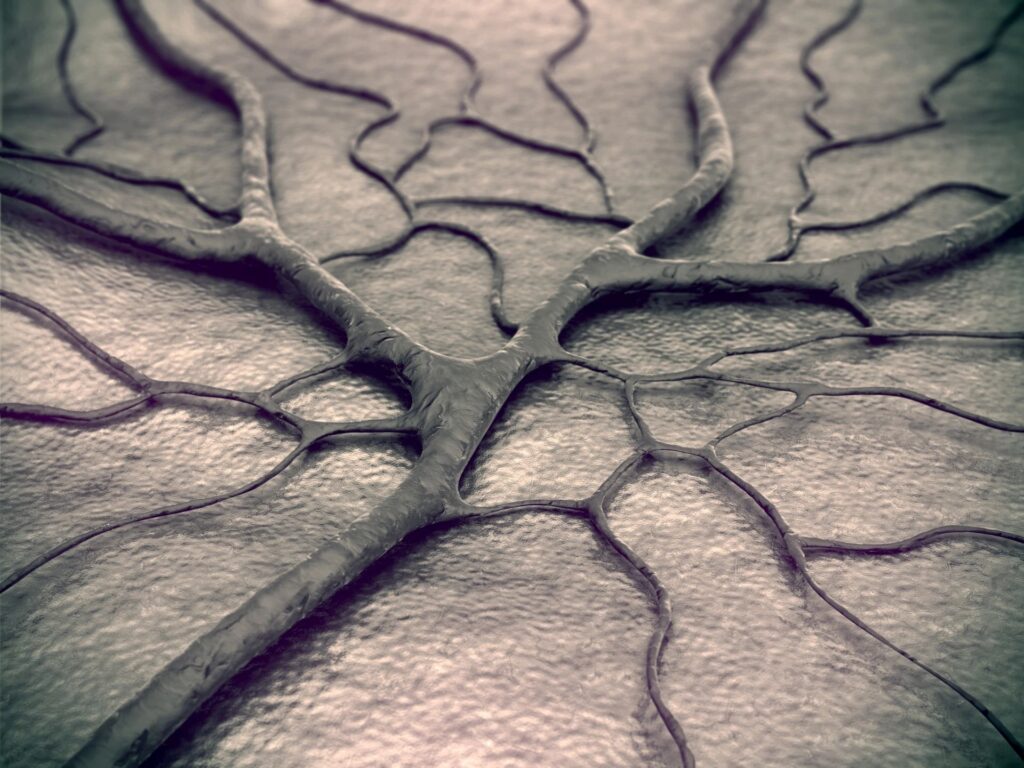 dual-diagnosis-san-diego-help